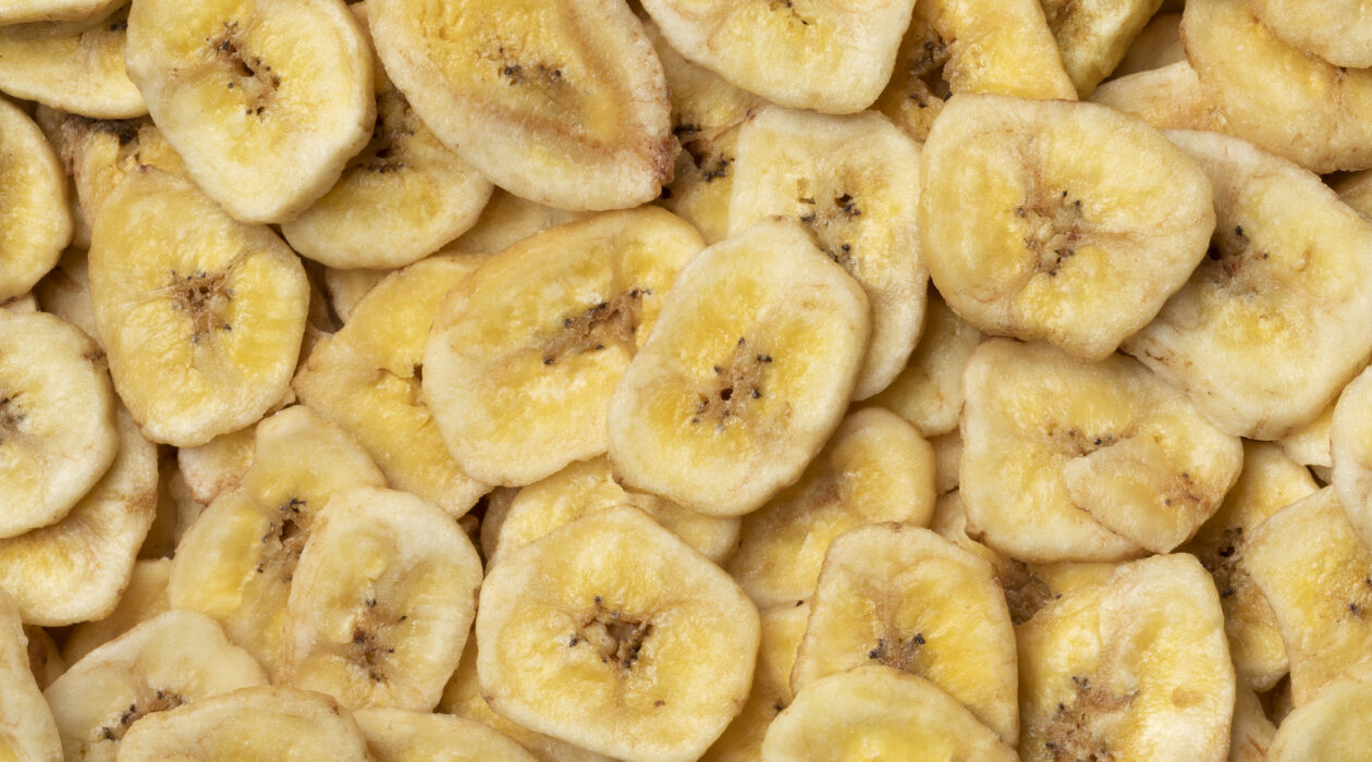 Dehydrated Banana: The Ultimate Guide to Making & Enjoying